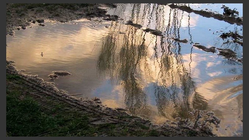 Los charcos reflejan un cielo con ganas de celeste. 