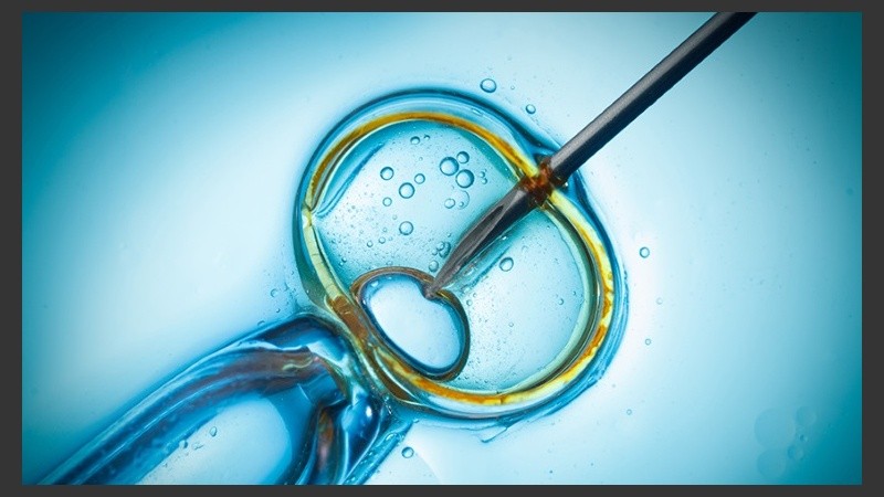 Los médicos fertilizaron el óvulo de la madre con el esperma del padre. Luego transfirieron estos genes al óvulo de una donante.