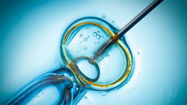 Los médicos fertilizaron el óvulo de la madre con el esperma del padre. Luego transfirieron estos genes al óvulo de una donante.