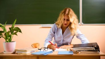 El curso también habilita a realizar estudios e investigaciones educativas y brindar asesoramiento pedagógico en el tema.