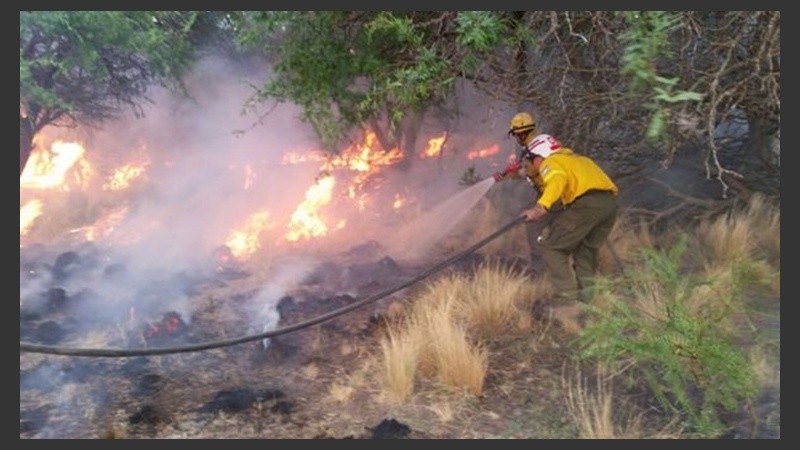 Los focos ígneos volvieron a generar preocupación.