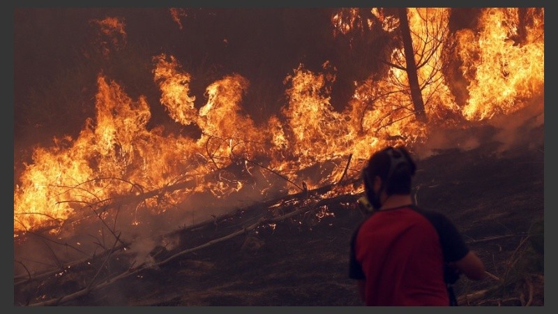 Pobladores trabajan junto a bomberos contra las llamas en la región de El Maule.