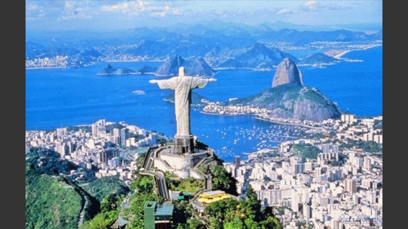 Alerta en Brasil por brote de fiebre amarilla. 