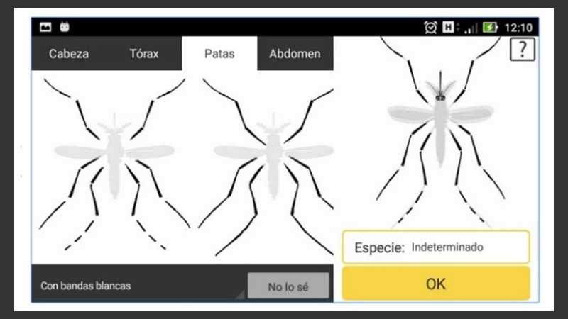 En pocas horas la app recibió cientos de descargas.