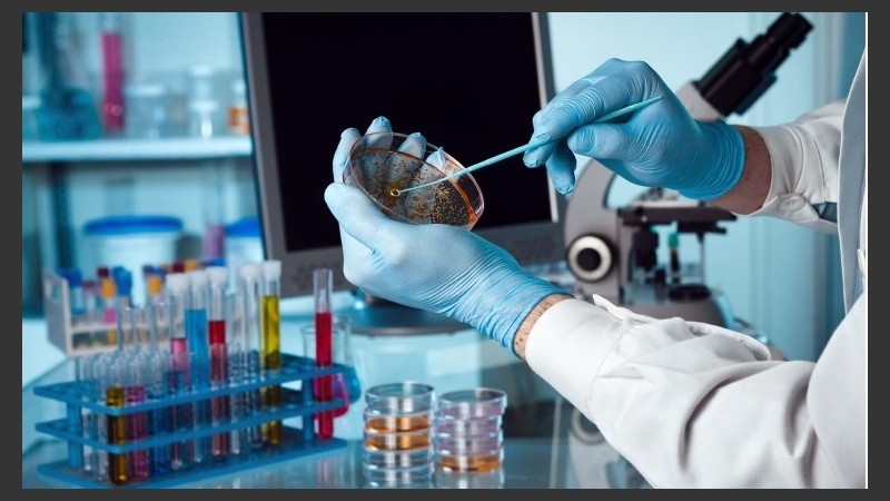 Fue probada con éxito en un gusano cuyas vías regulatorias del envejecimiento son muy similares a las del ser humano.