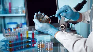 Fue probada con éxito en un gusano cuyas vías regulatorias del envejecimiento son muy similares a las del ser humano.