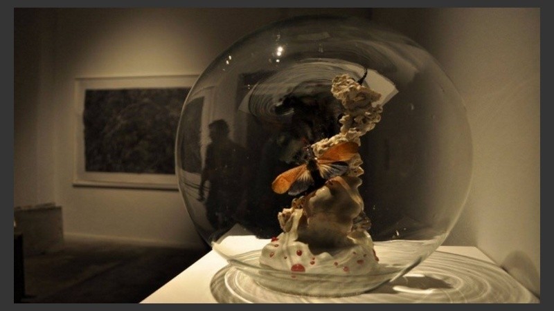 Las  visitas son guiadas por una integrante del área educativa del museo.