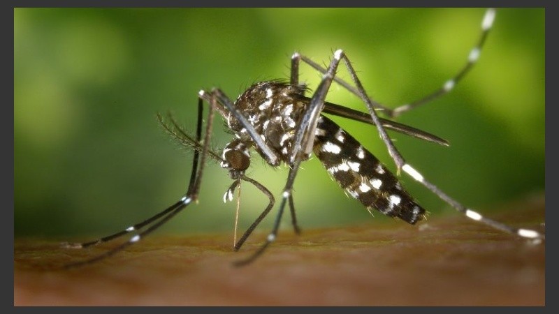 El Ministerio de Salud de la provincia difundió las recomendaciones para viajeros.