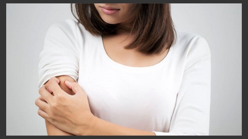 El nylon es la primera fibra sintética que apareció en el mercado.