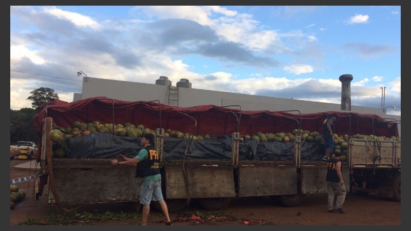 Secuestraron 7 toneladas de sandía con marihuana en su interior.