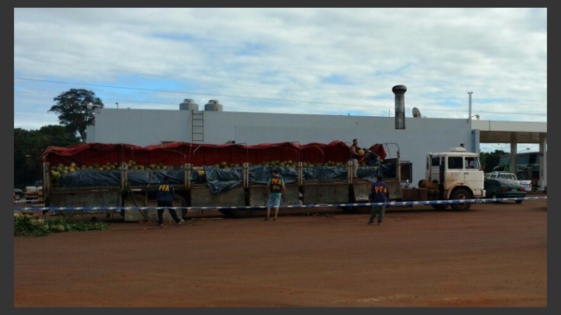 Secuestraron 7 toneladas de sandía con marihuana en su interior.