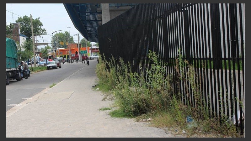 Yuyos y malezas en la parte exterior. 