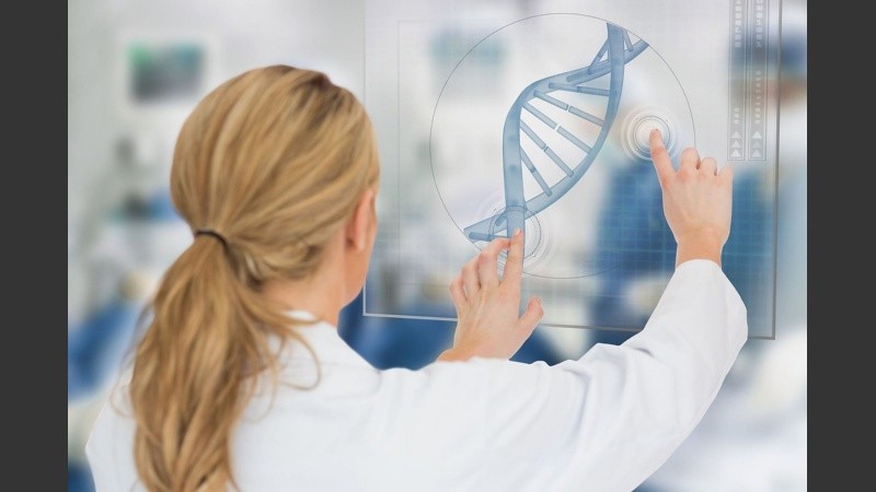 De las más de 8000 que existen, no todas han sido investigadas. 