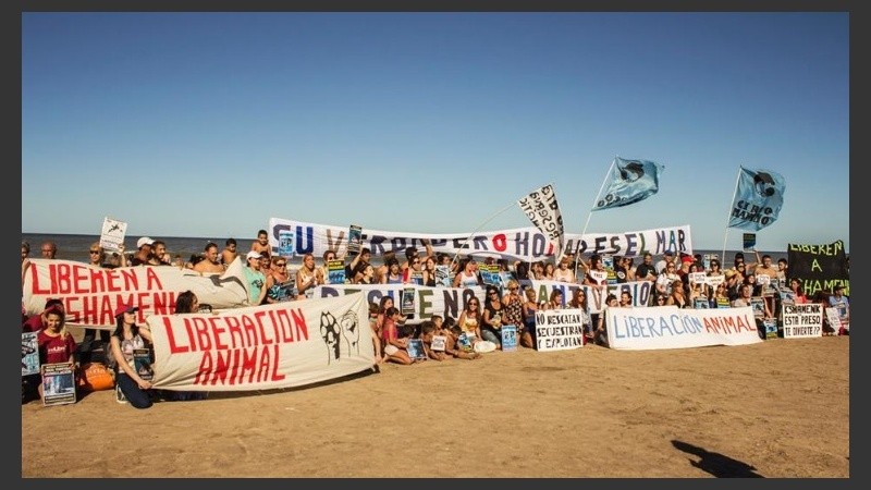 La protesta se repite cada año con pancartas y folletos.