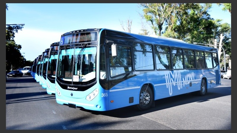 Los nuevos coches presentados por el municipio. 