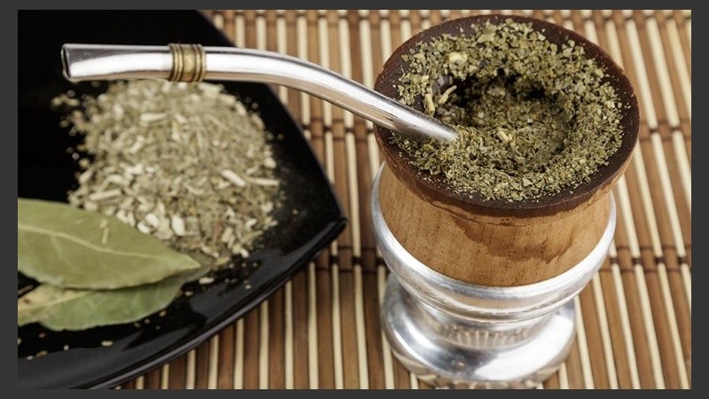 La yerba mate es considerada como una de las principales bebidas ricas en antioxidantes.
