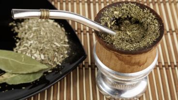 La yerba mate es considerada como una de las principales bebidas ricas en antioxidantes.