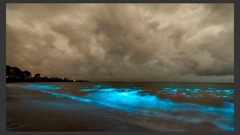 Una luminosidad azul se reflejó en una playa de Australia.