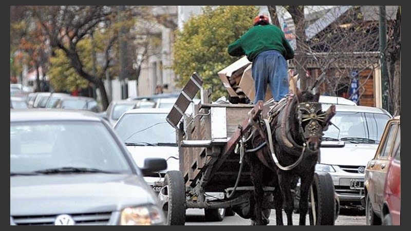 Gianelloni: “A partir del 31 carro en la calle, carro que es retirado