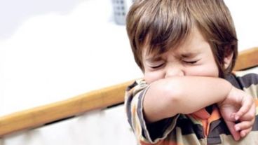 "Algunos alérgenos se concentran cinco veces más en ambientes interiores en comparación con los exteriores".