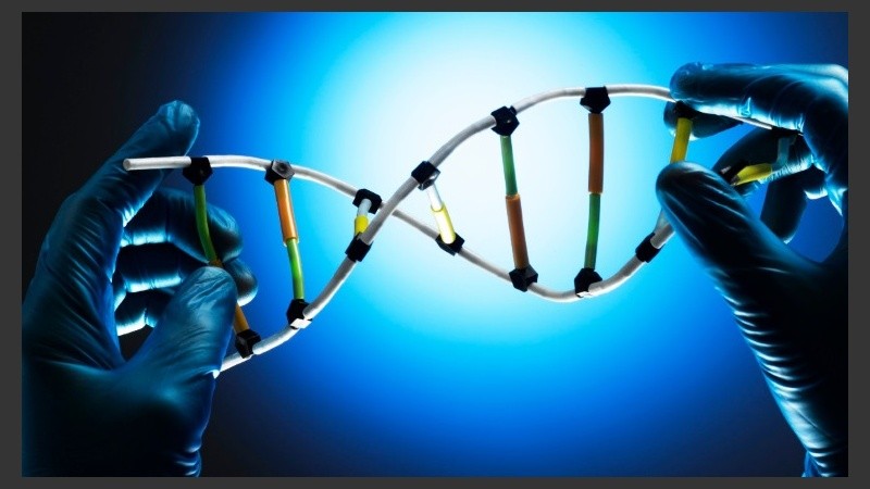 El peso de los factores externos en el riesgo de que se desarrolle la enfermedad es de entre el 70 y el 90 %.