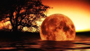 A través de un polémico programa pretenden manipular el recalentamiento global.