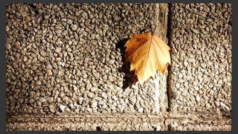 Algunas señales deja el otoño por ahí. 