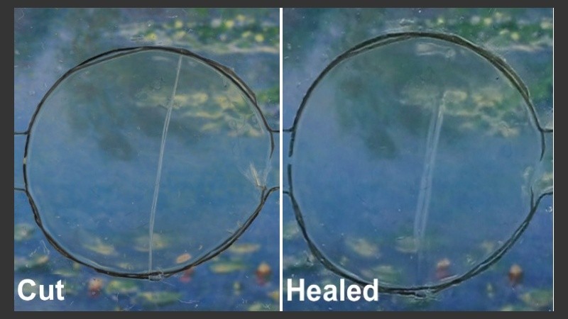 “El producto está inspirado en el proceso de cicatrización de heridas