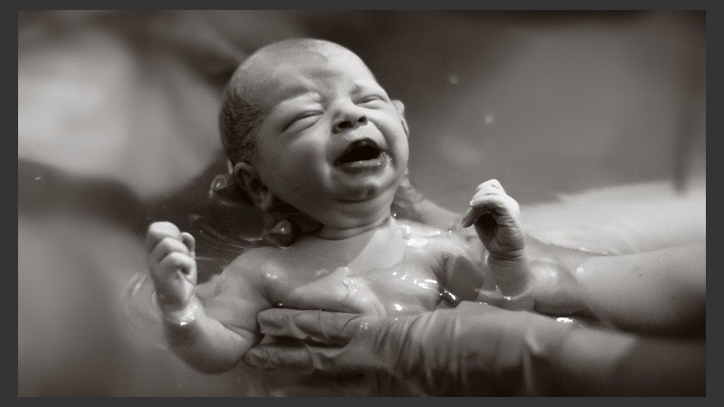 Violeta Vázquez es Directora de la Escuela de formación profesional en Puericultura y Familia “Panza y Crianza”.