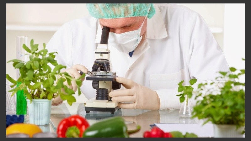  El Parque se especializará temáticamente en agroalimentos.