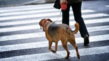 Fresco comienzo para un miércoles de otoño.