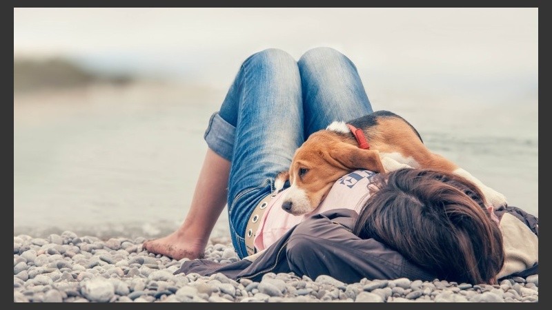 Los científicos pretenden analizar en profundidad el hallazgo para poder extenderlo a otras razas.