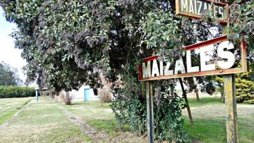 Planta campamentil Maizales.