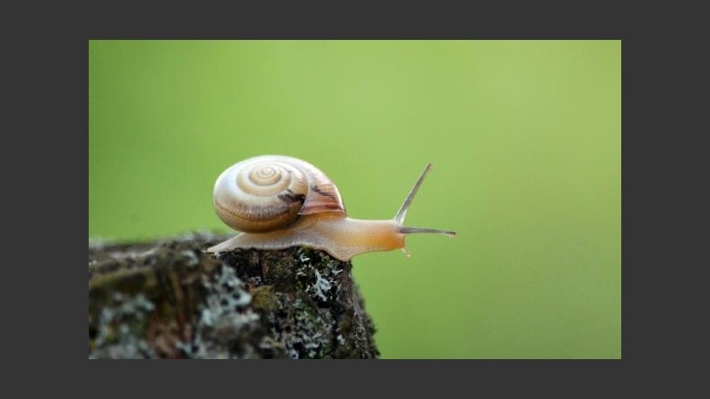 Mucha humedad en el ambiente. 