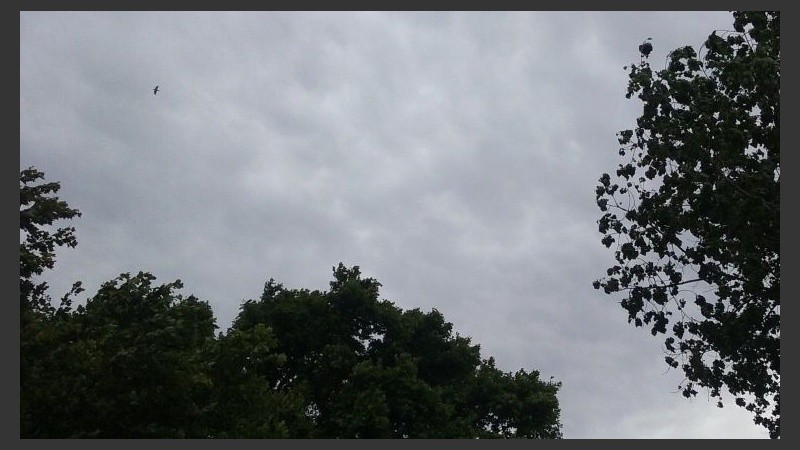 Cielo gris pero sin amenaza de tormenta.