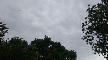 Cielo gris pero sin amenaza de tormenta.