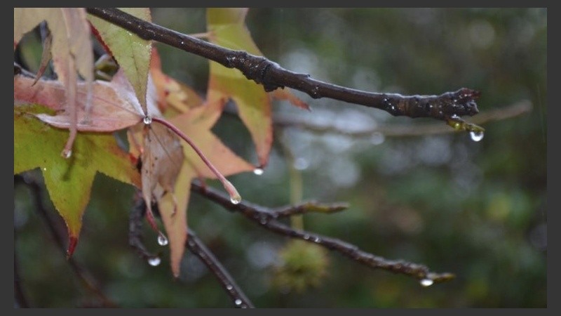 La lluvia esperada desde ayer podría caer hoy. 