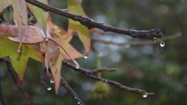 La lluvia esperada desde ayer podría caer hoy.