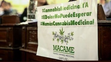 La Legislatura santafesina había aprobado el cannabis medicinal el año pasado.