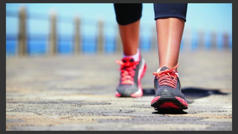 De acuerdo con el científico, hay un ritmo optimizador entre el 