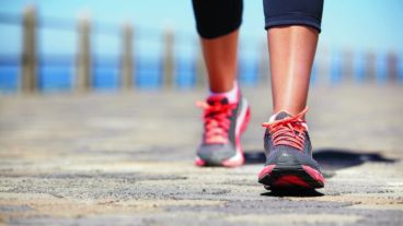 De acuerdo con el científico, hay un ritmo optimizador entre el "riego de sangre al cerebro y moverse".