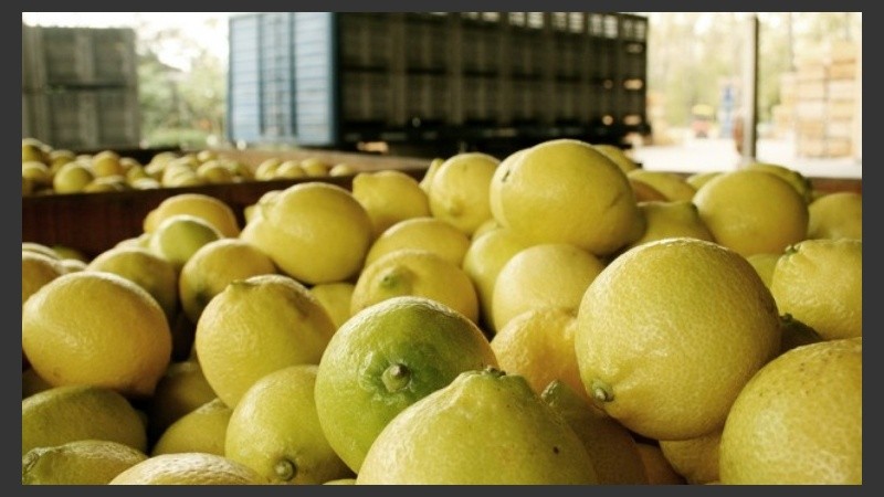 La reapertura representará ingresos de entre 20 y 50 millones de dólares por año..