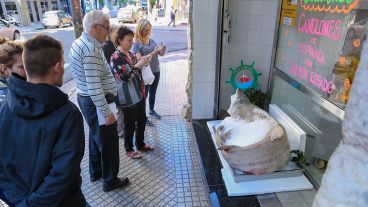 El tiburón congelado es la atracción de la esquina de Paraguay y Zeballos.