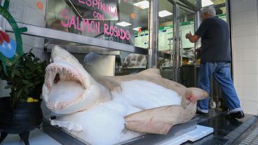 La pescadería céntrica exhibe el animal frente a su local.
