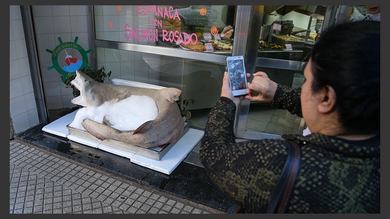 Los curiosos pasan y le toman una foto. 