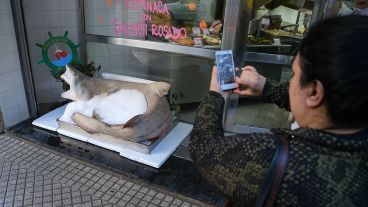 Los curiosos pasan y le toman una foto.