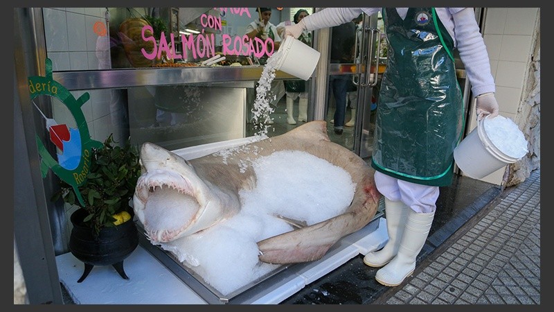 A cada rato los empleados de la pescadería le echan hielo para mantenerlo en estado. 