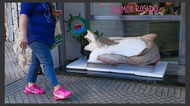 Un tiburón en plena calle. Algo poco común en Rosario.