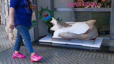 Un tiburón en plena calle. Algo poco común en Rosario.