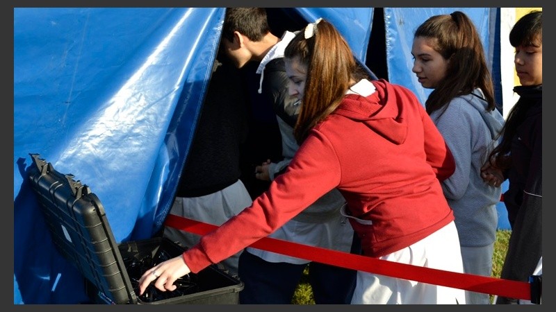 Los alumnos disfrutaron de todos los juegos de Cultura Más Vos.